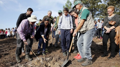 Veinte años de lucha contra los incendios